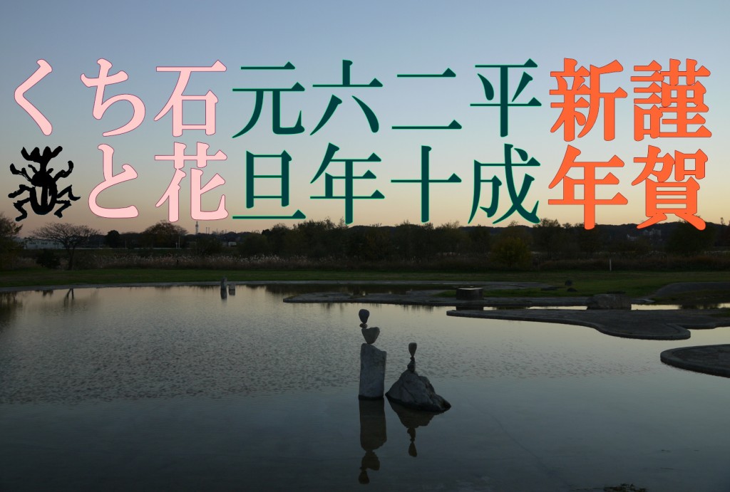 石花image
