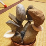 石だって咲き乱れるんです♪