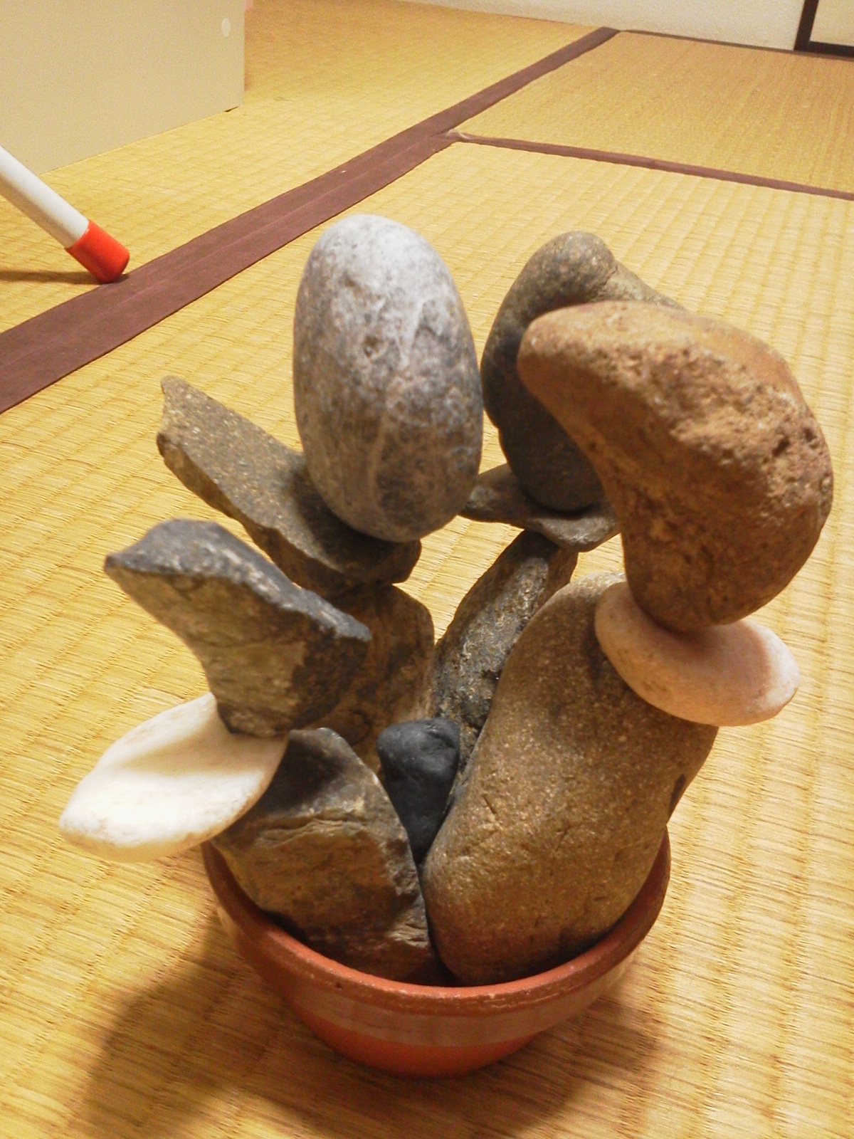 石だって咲き乱れるんです♪
