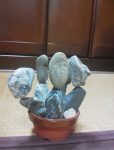 20120727