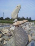20120729